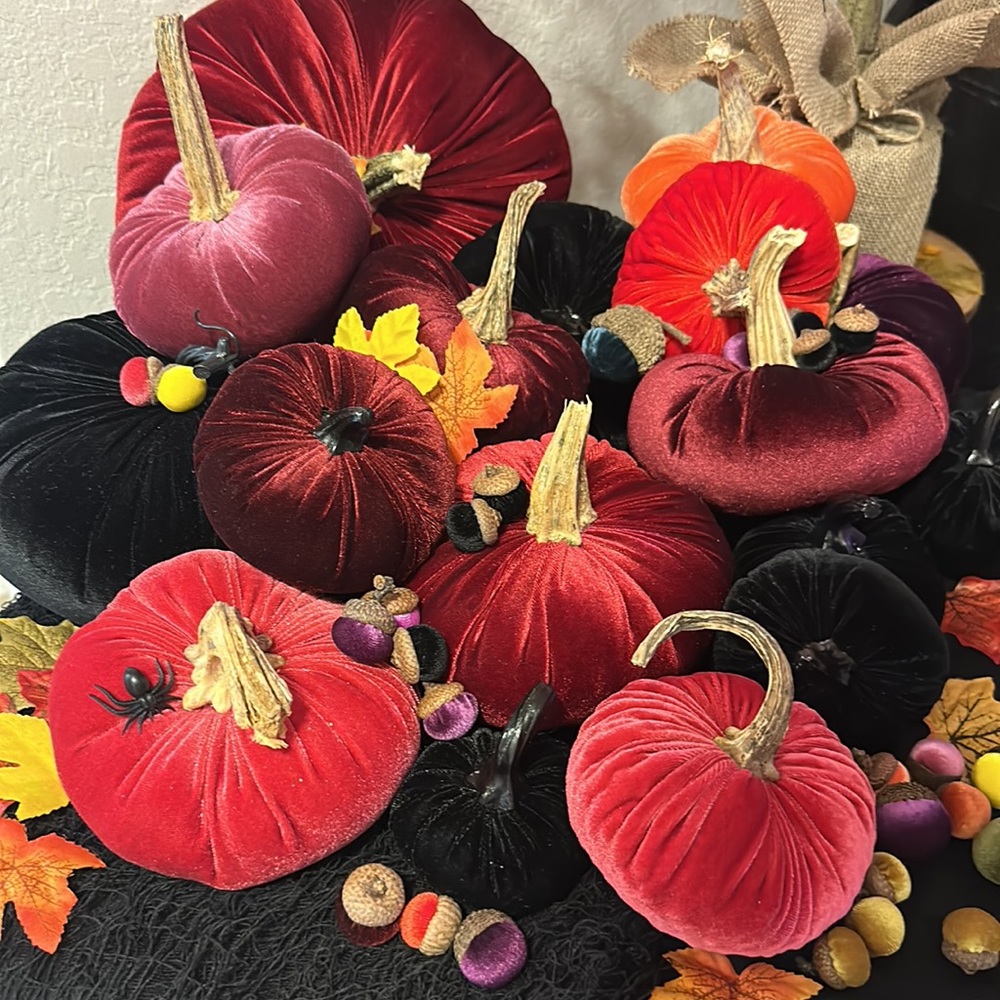 Velvet Pumpkins. - Picture 3 of 13